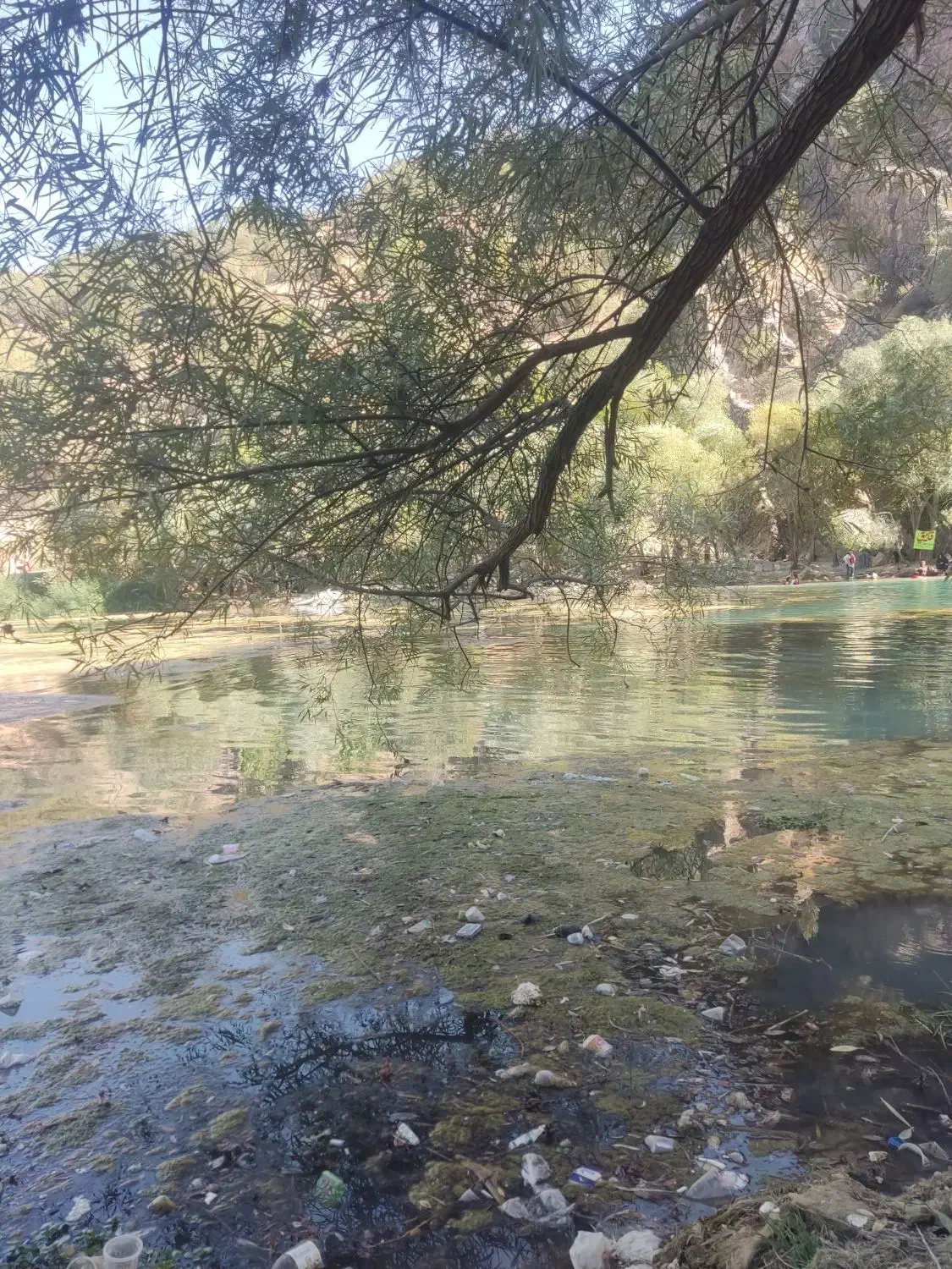 تور دو روزه سیراف|تور و چارتر|شیراز, دکتر حسابی|دیوار