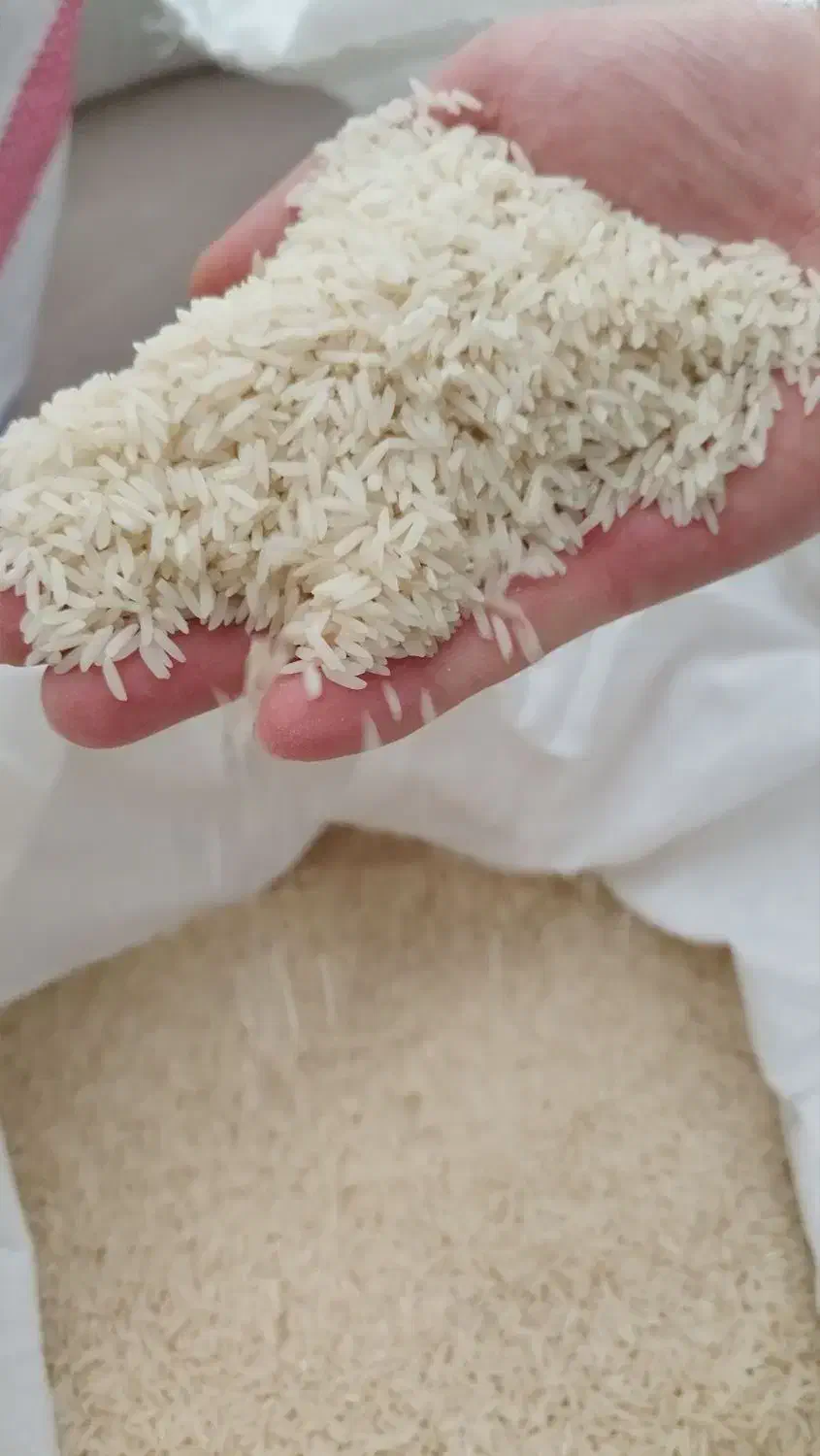 برنج هاشمی|خوردنی و آشامیدنی|اردبیل, |دیوار