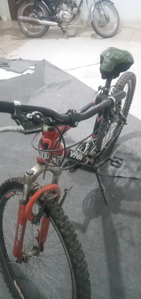 دوچرخه ویوا نو|دوچرخه، اسکیت، اسکوتر|دماوند, دماوند|دیوار