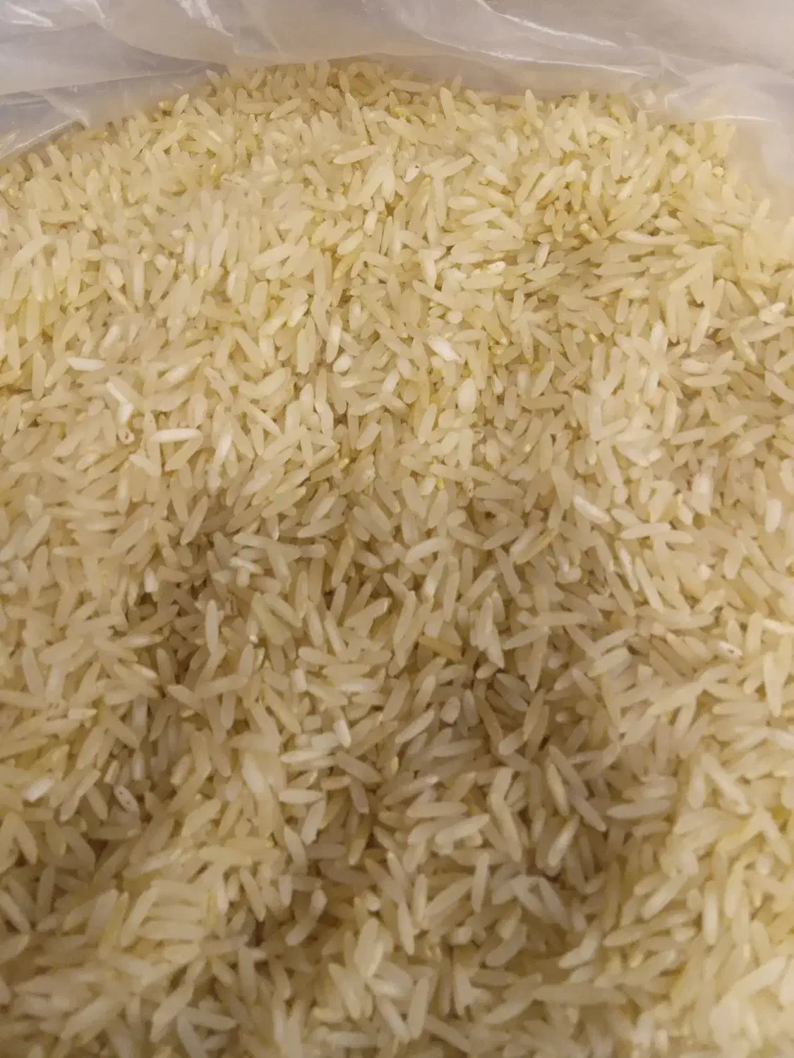 برنج فجررستم درجه یک|خوردنی و آشامیدنی|شیراز, قدوسی شرقی|دیوار