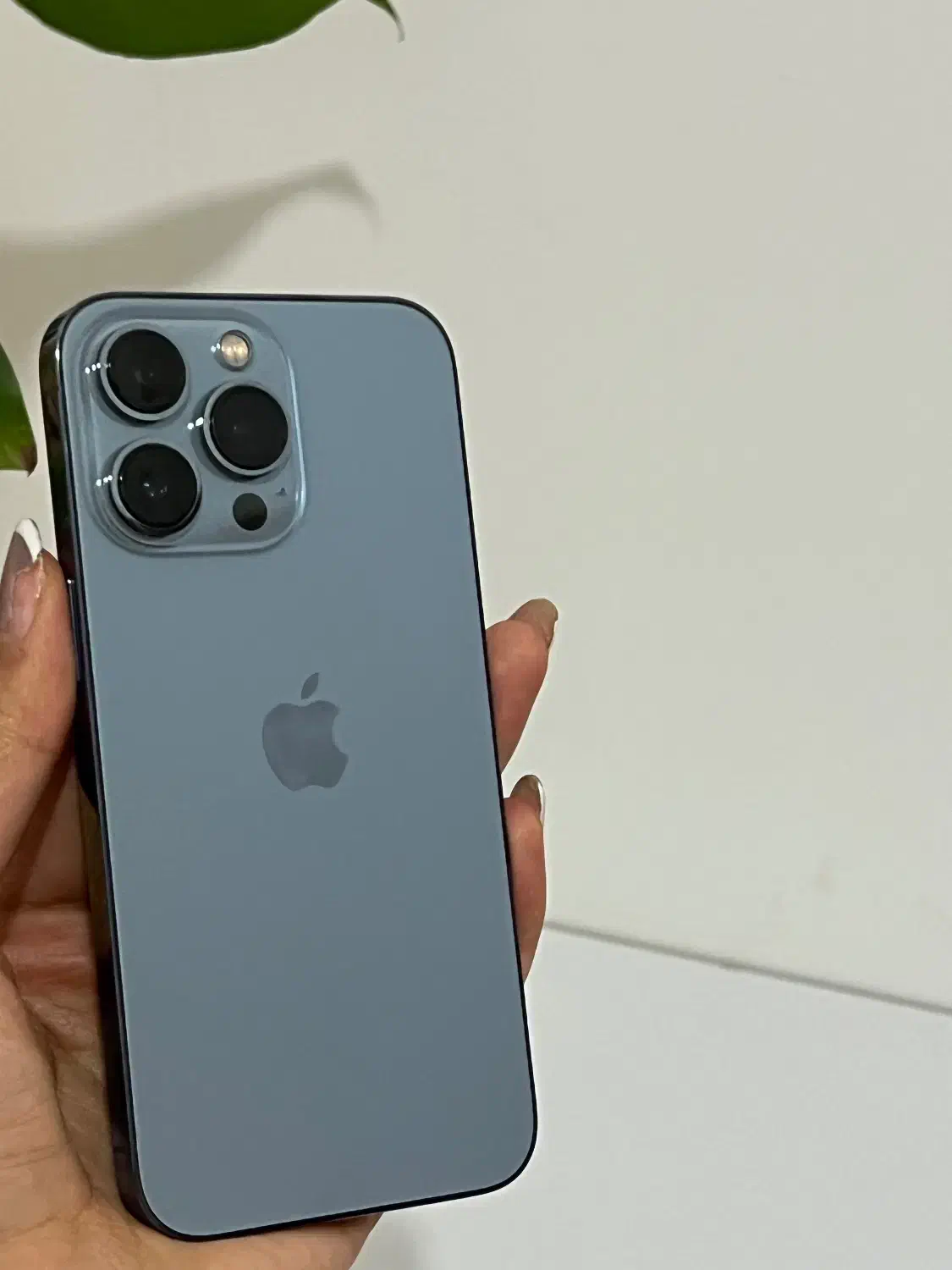 آیفون‌۱۳‌پرو خیلی تمیز|موبایل|اصفهان, برازنده|دیوار