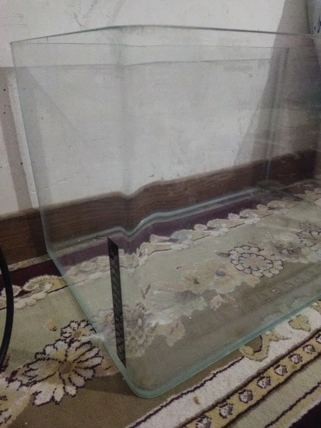 آکواریوم کبوتر قناری پرنده پلاکی دورگ پلاکی|ماهی|فولادشهر, مسکن مهر فولادشهر|دیوار