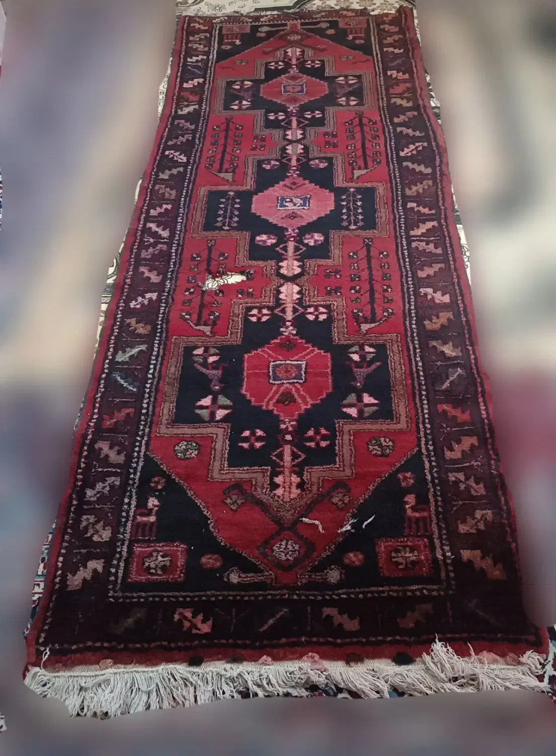 فرش دستباف|فرش|قزوین, |دیوار