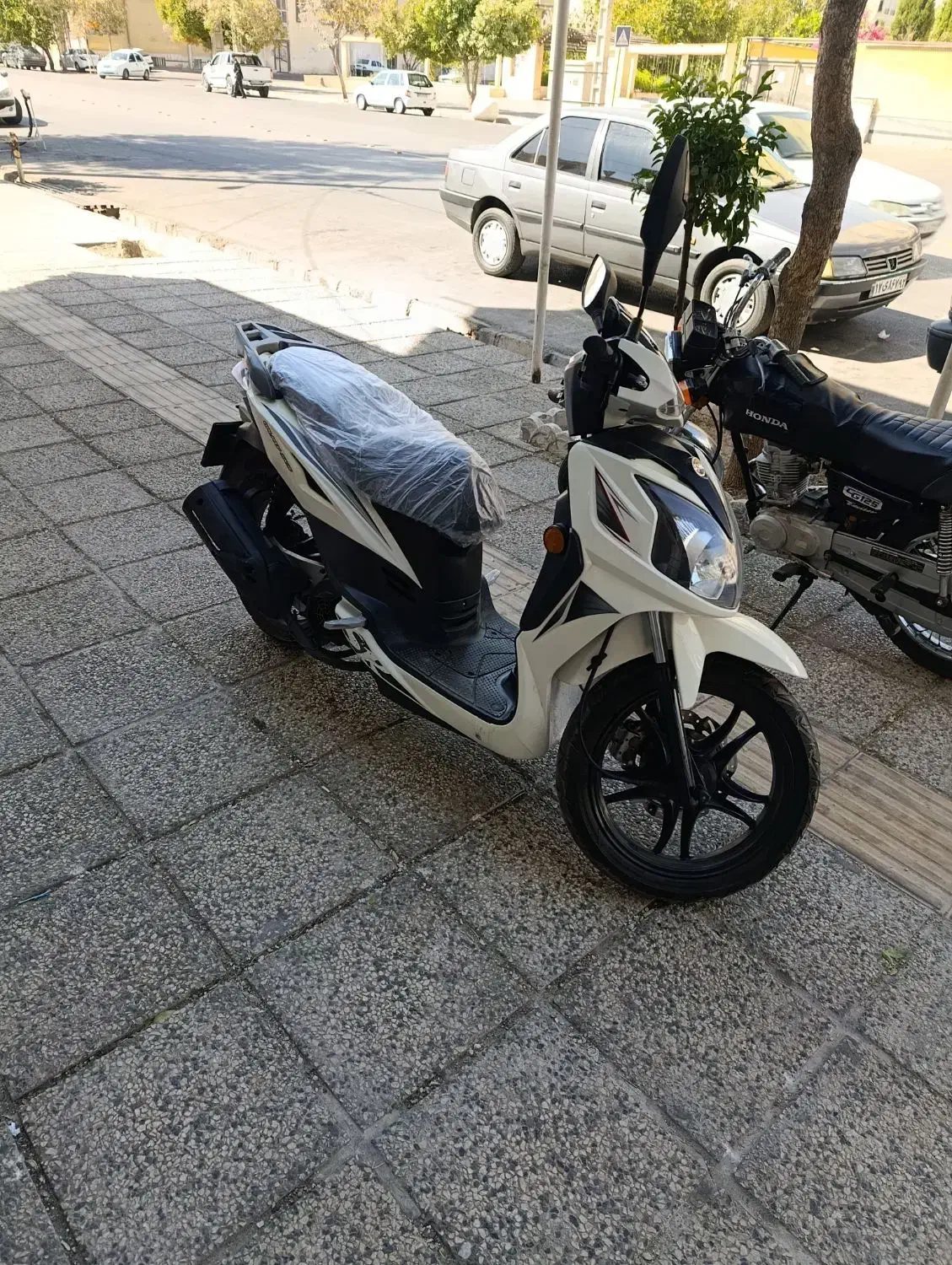 فروش موتور سیکلت sr200|موتورسیکلت|شیراز, تندگویان|دیوار