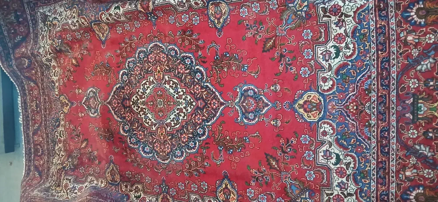 فرش دستبافت ۱۲ متری|فرش|دماوند, دماوند|دیوار