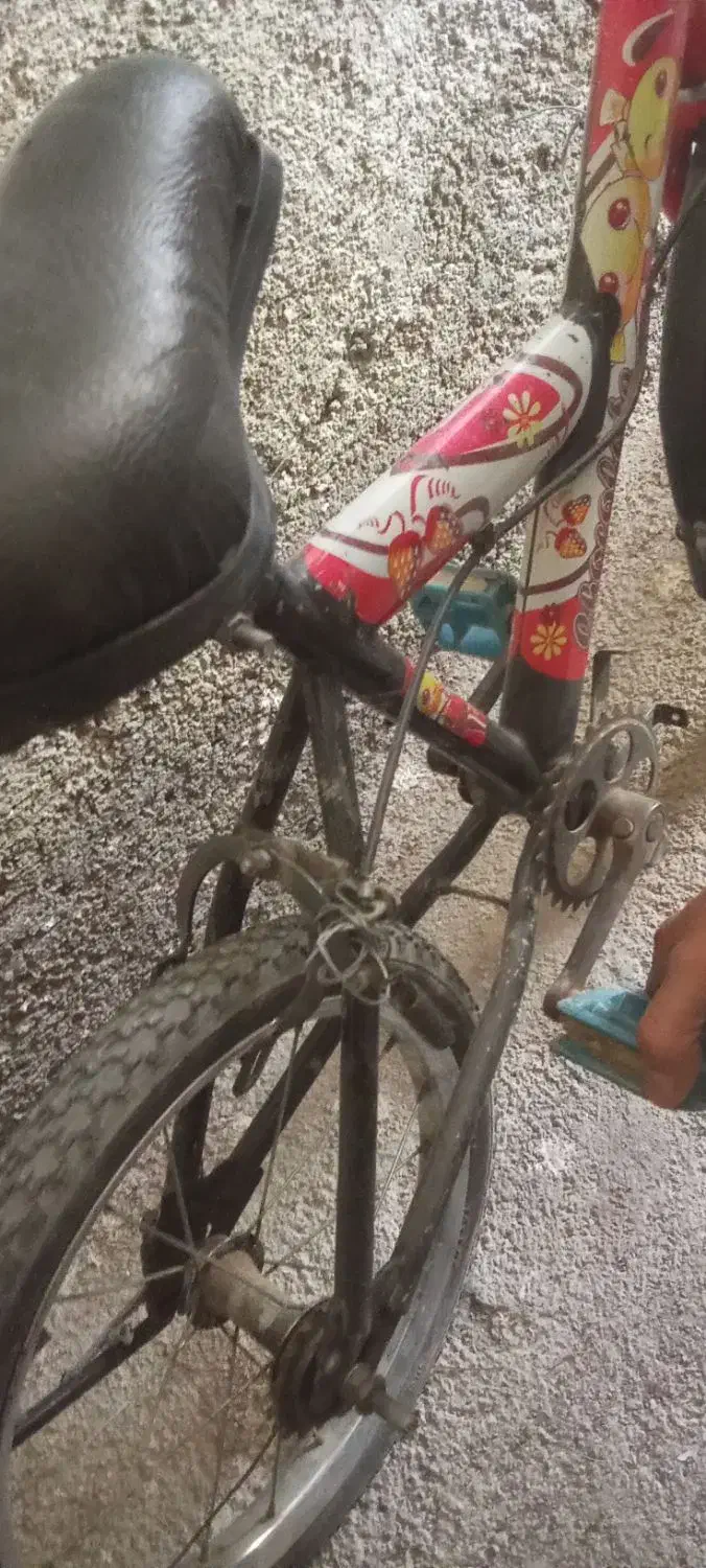 دوچرخه 16 و رینگ|دوچرخه، اسکیت، اسکوتر|شیروان (خراسان), |دیوار