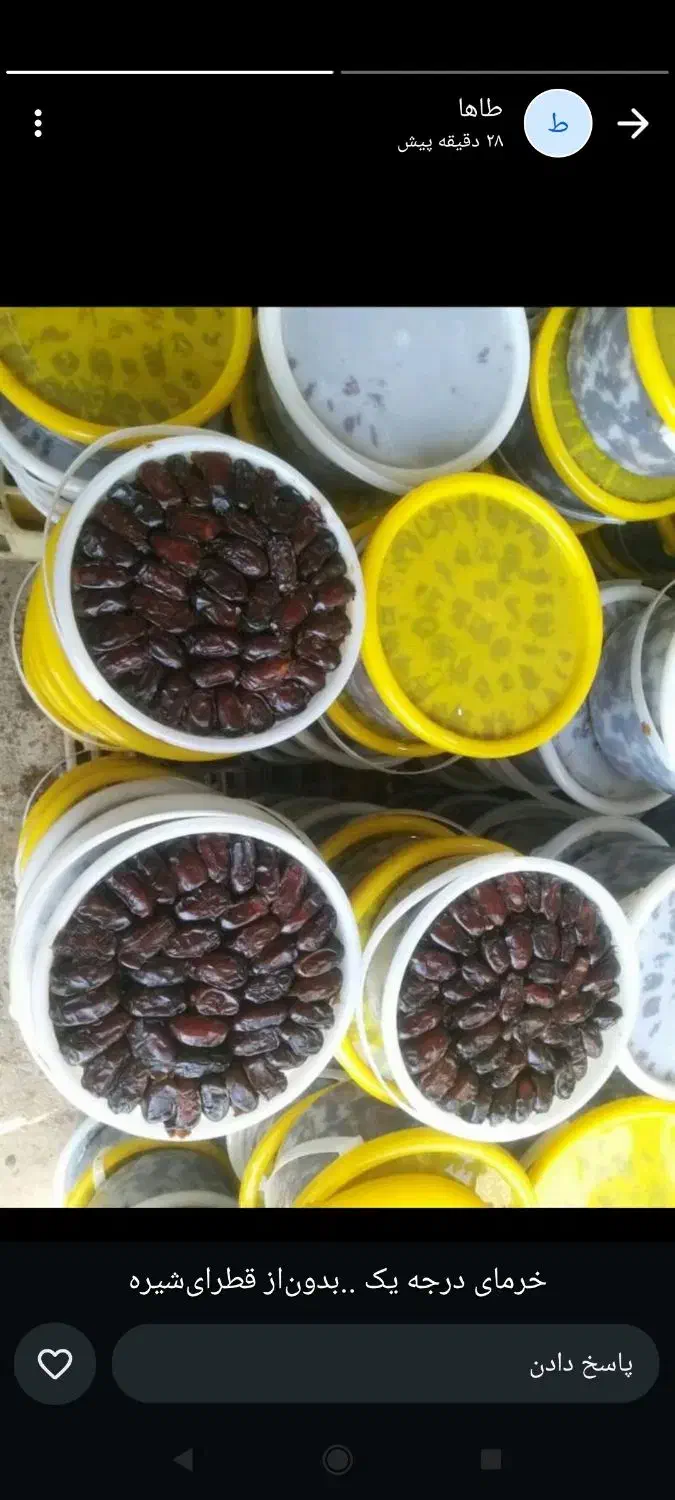 خرمای خاصی|خوردنی و آشامیدنی|چیتاب, |دیوار