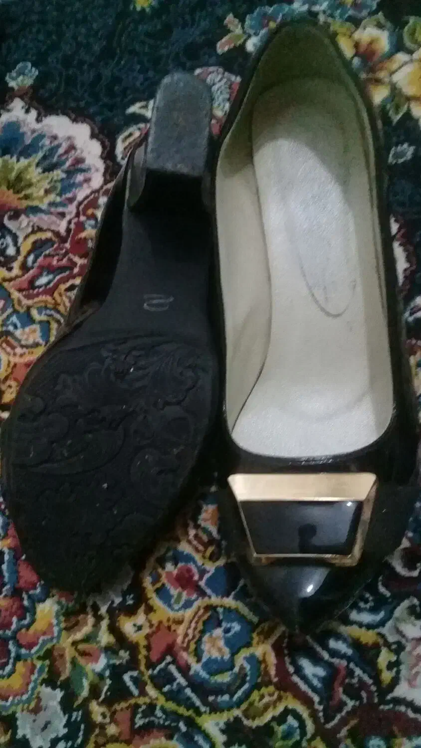 کیف و کفش|کیف، کفش، کمربند|پرند, فاز ۴|دیوار