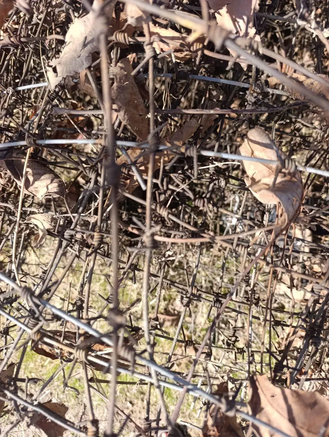 سیم خاردار|مصالح و تجهیزات ساختمان|ایلام, |دیوار