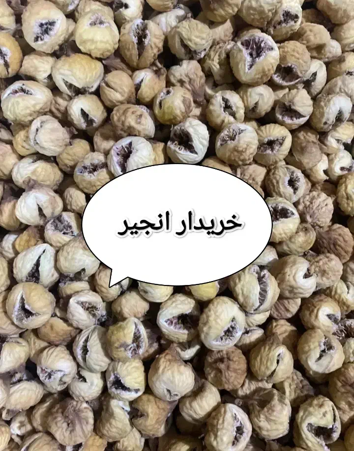 انجیر استهبان|خوردنی و آشامیدنی|استهبان, |دیوار