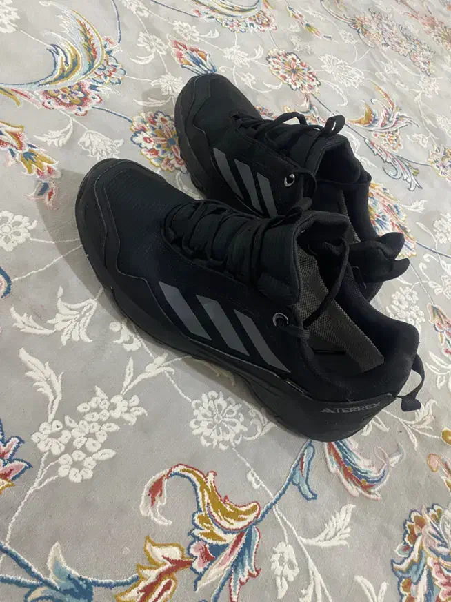 کفش آدیداس اصلی|کیف، کفش، کمربند|بندر گناوه, |دیوار