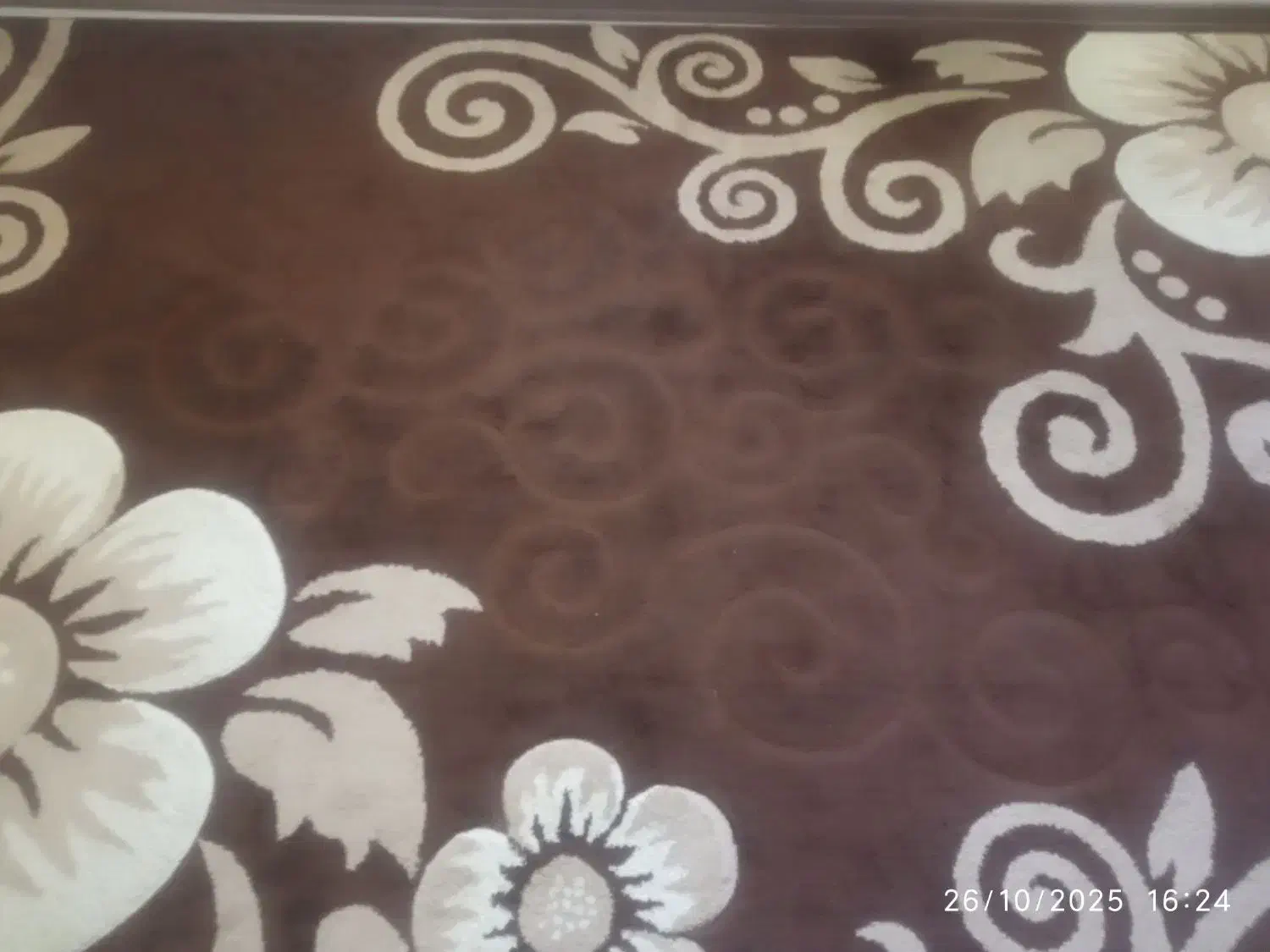 گلیم فرش ۶ متری|گلیم، جاجیم، گبه|مشکیندشت, |دیوار