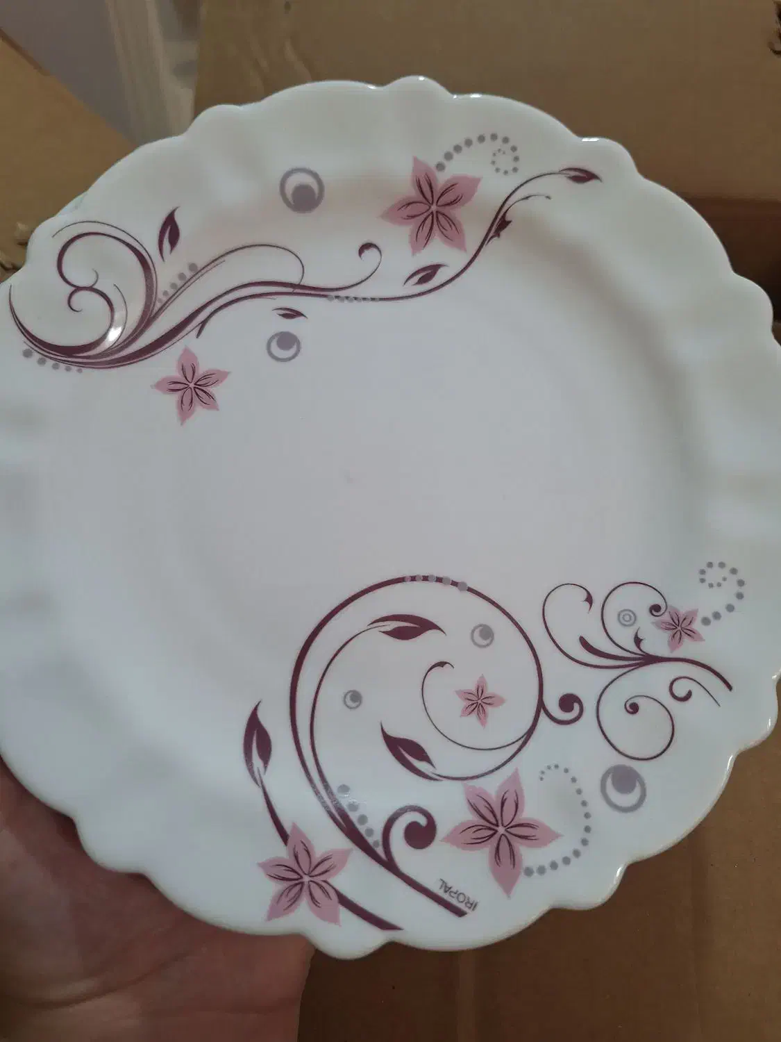 سرویس25پارچه آپال گرد|ظروف سرو و پذیرایی|رشت, یخسازی|دیوار