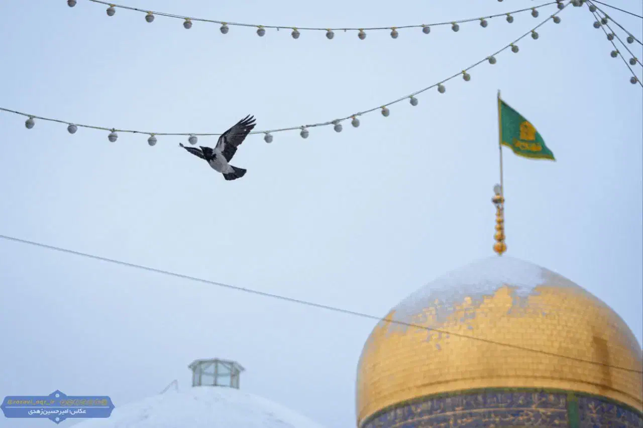 مشهد با قطار حرکت 16 آذر ( 5 روزه )|تور و چارتر|کرج, حسینآباد|دیوار