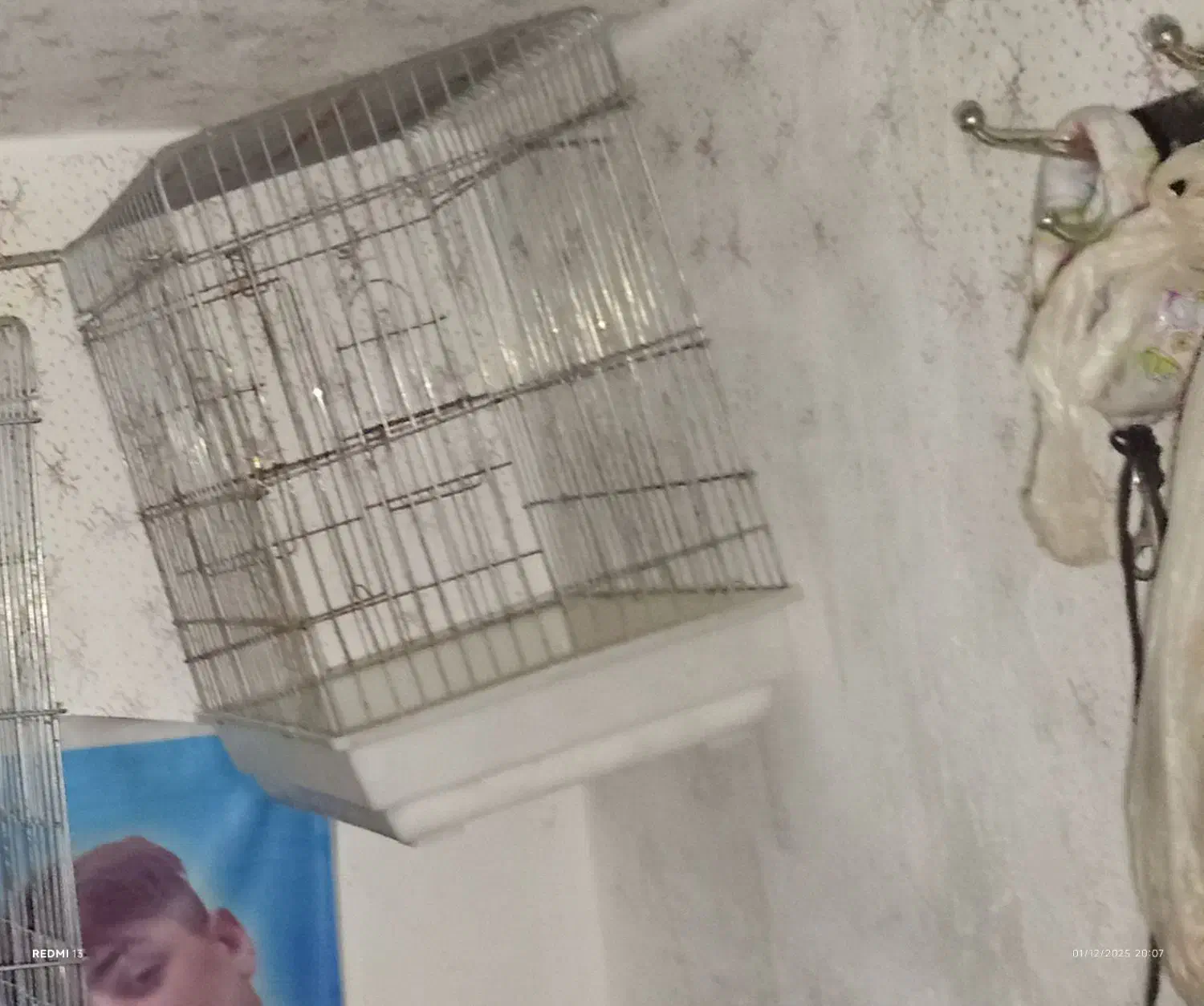 دو عدد قفس بزرگ پرنده|لوازم جانبی حیوانات|شوشتر, |دیوار