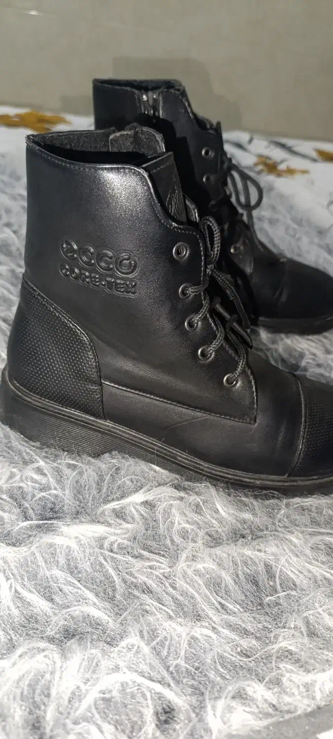 بوت مردونه مفت|کیف، کفش، کمربند|اشکذر, |دیوار