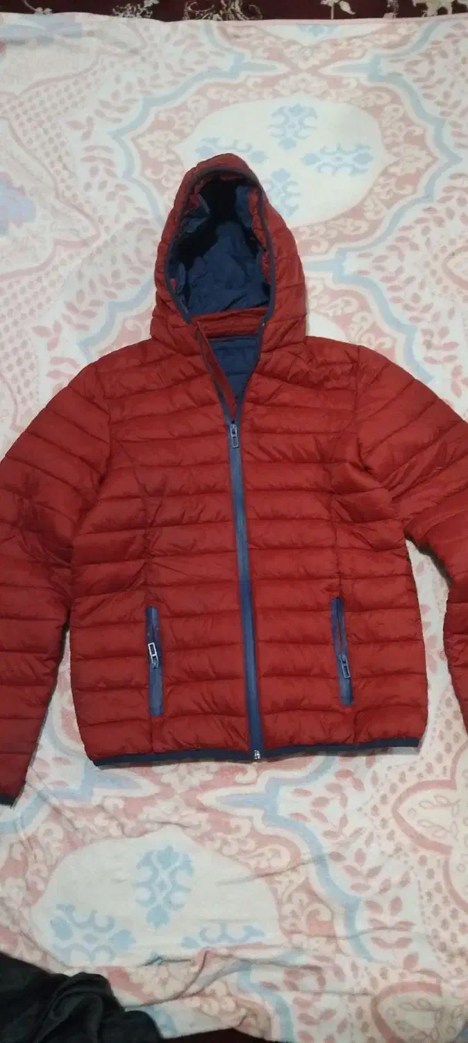 کاپشن|لباس|مشهد, شهرک مهرگان|دیوار