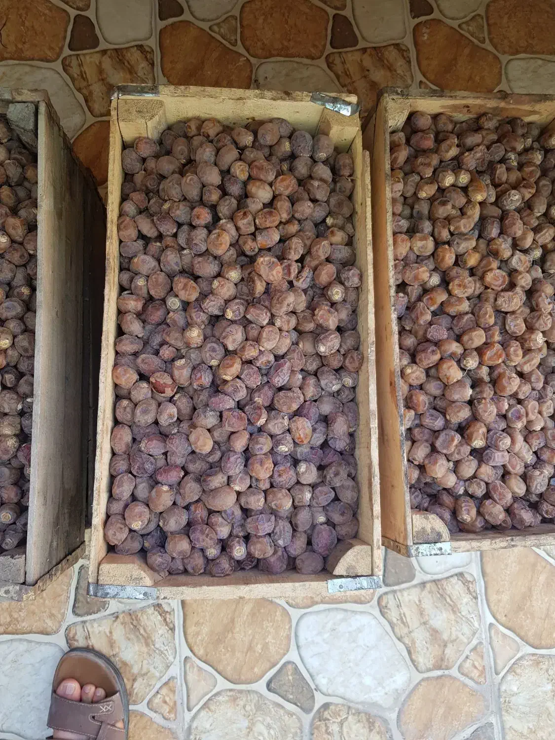 خرما....   تمربرحی|خوردنی و آشامیدنی|بندر ماهشهر, |دیوار