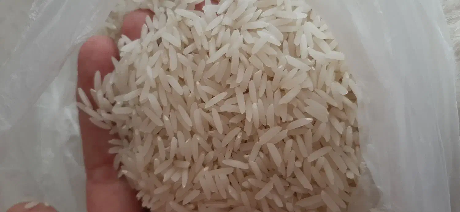 برنج ایرانی خوشپخت طارم محلی گرگان|خوردنی و آشامیدنی|کرمانشاه, |دیوار