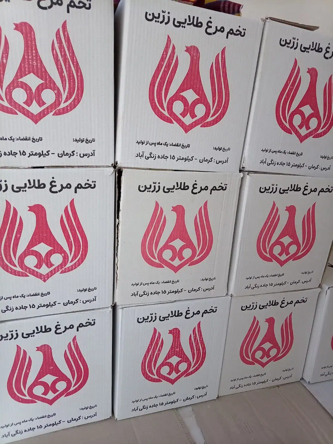 تخم مرغ|خوردنی و آشامیدنی|کرمان, |دیوار