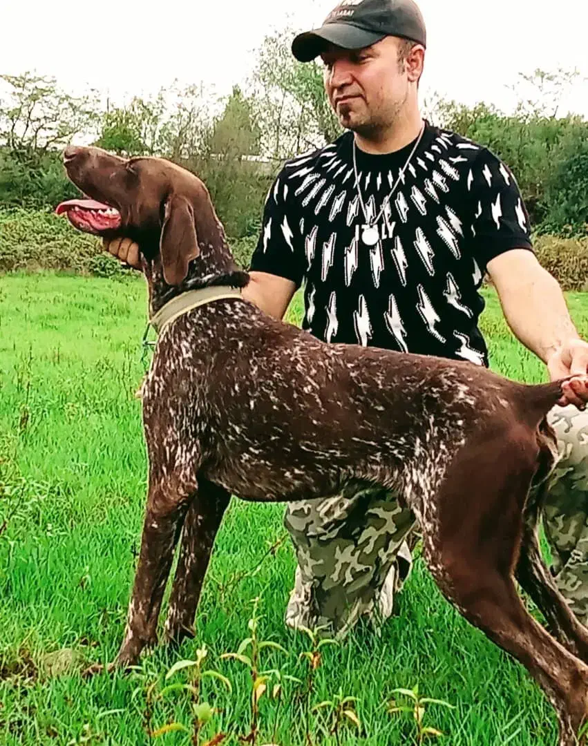 توله آلمانی اصیل ۴ماهه|سگ|صومعهسرا, |دیوار