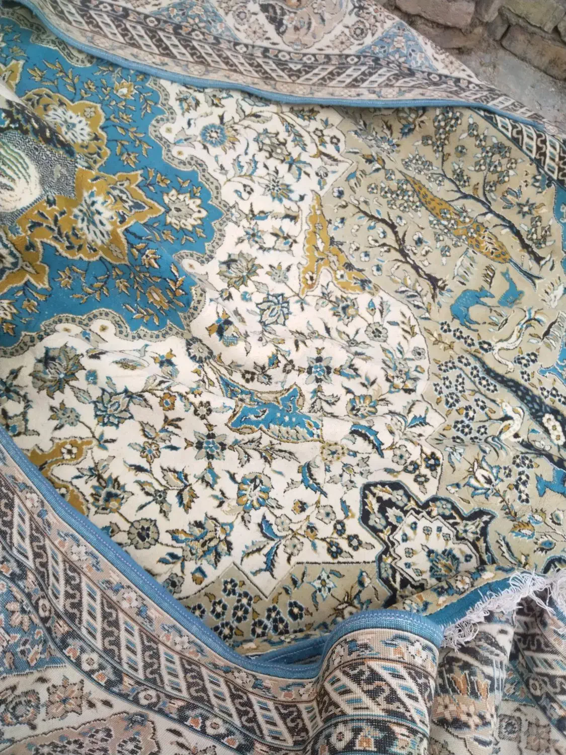 قالی تمیز|فرش|بجنورد, |دیوار