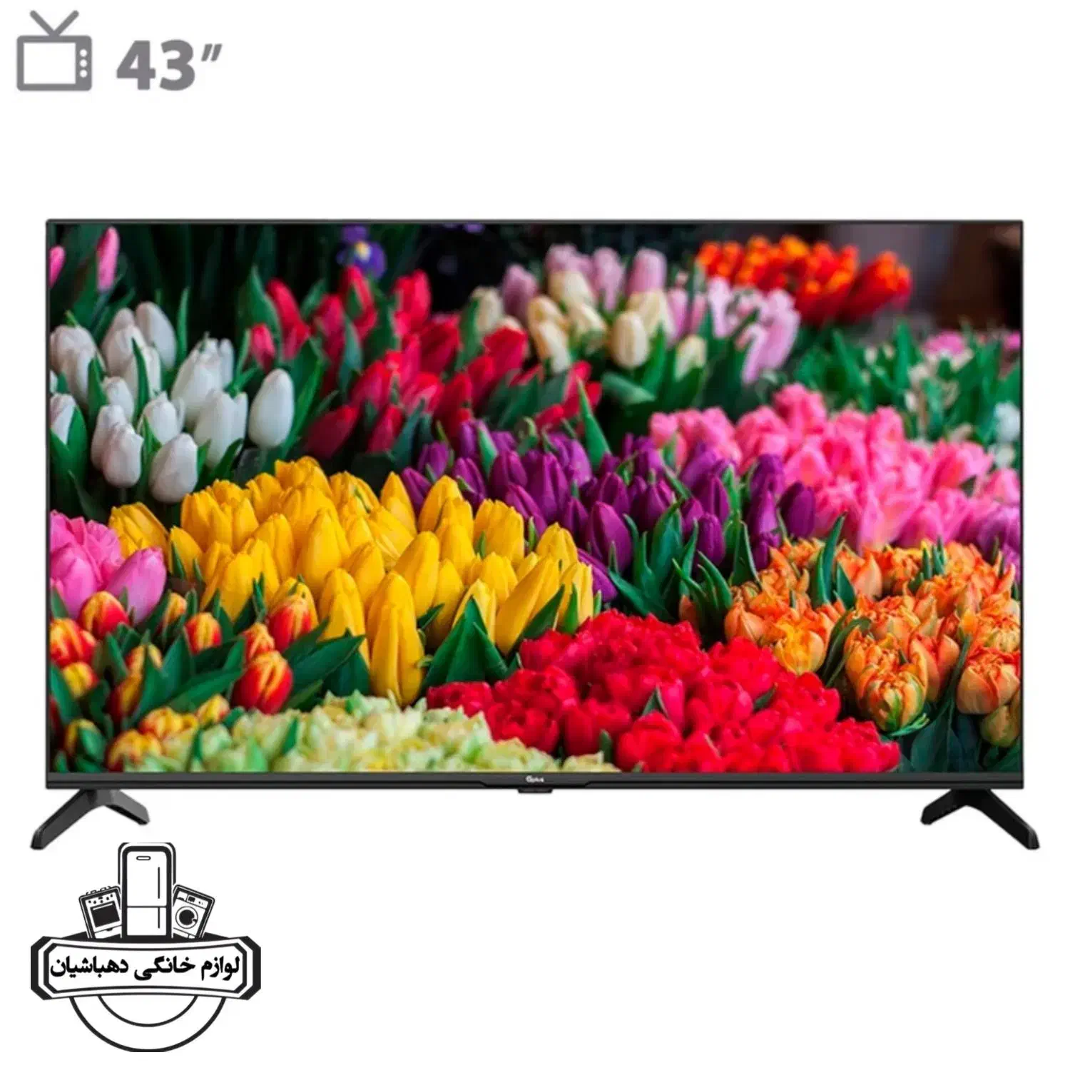 تلویزیون G Plus 43  (جی‌پلاس)|تلویزیون و پروژکتور|نیشابور, فردوس شمالی|دیوار