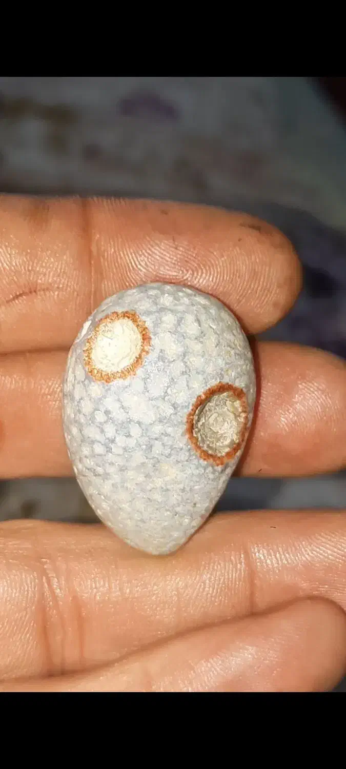 سنگ ماورایی|کلکسیون اشیاء عتیقه|شیراز, ارم|دیوار