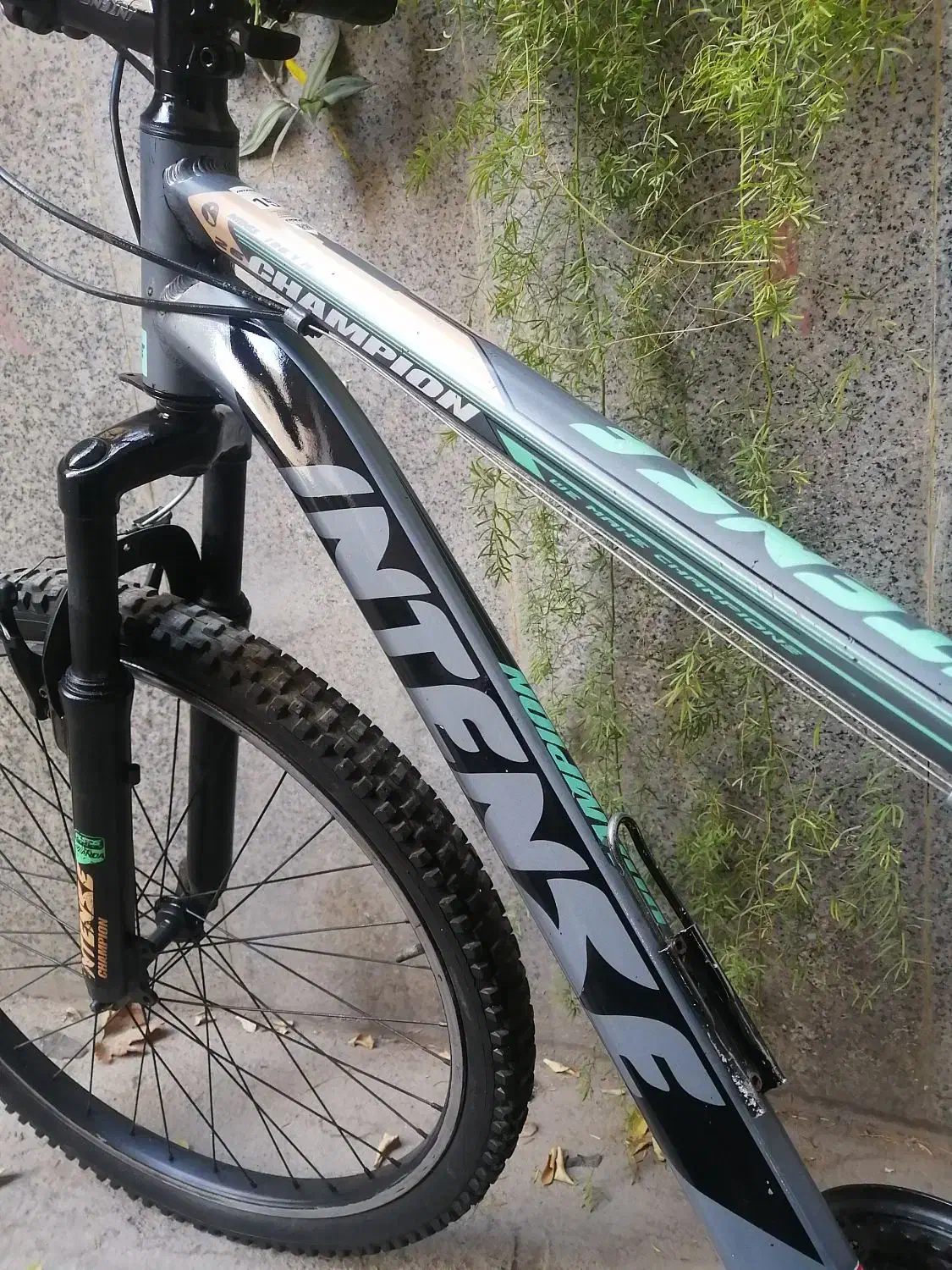 دوچرخه 26اینتزه اصلی|دوچرخه، اسکیت، اسکوتر|شیراز, بریجستون|دیوار