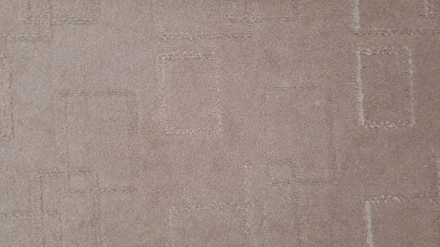 موکت ۳در۳ کاملا نو|موکت|یزد, |دیوار