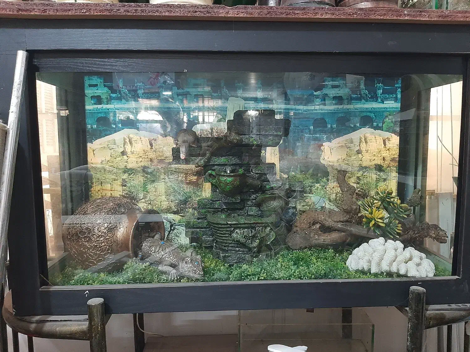 اکواریوم بزرگ|ماهی|مینودشت, |دیوار