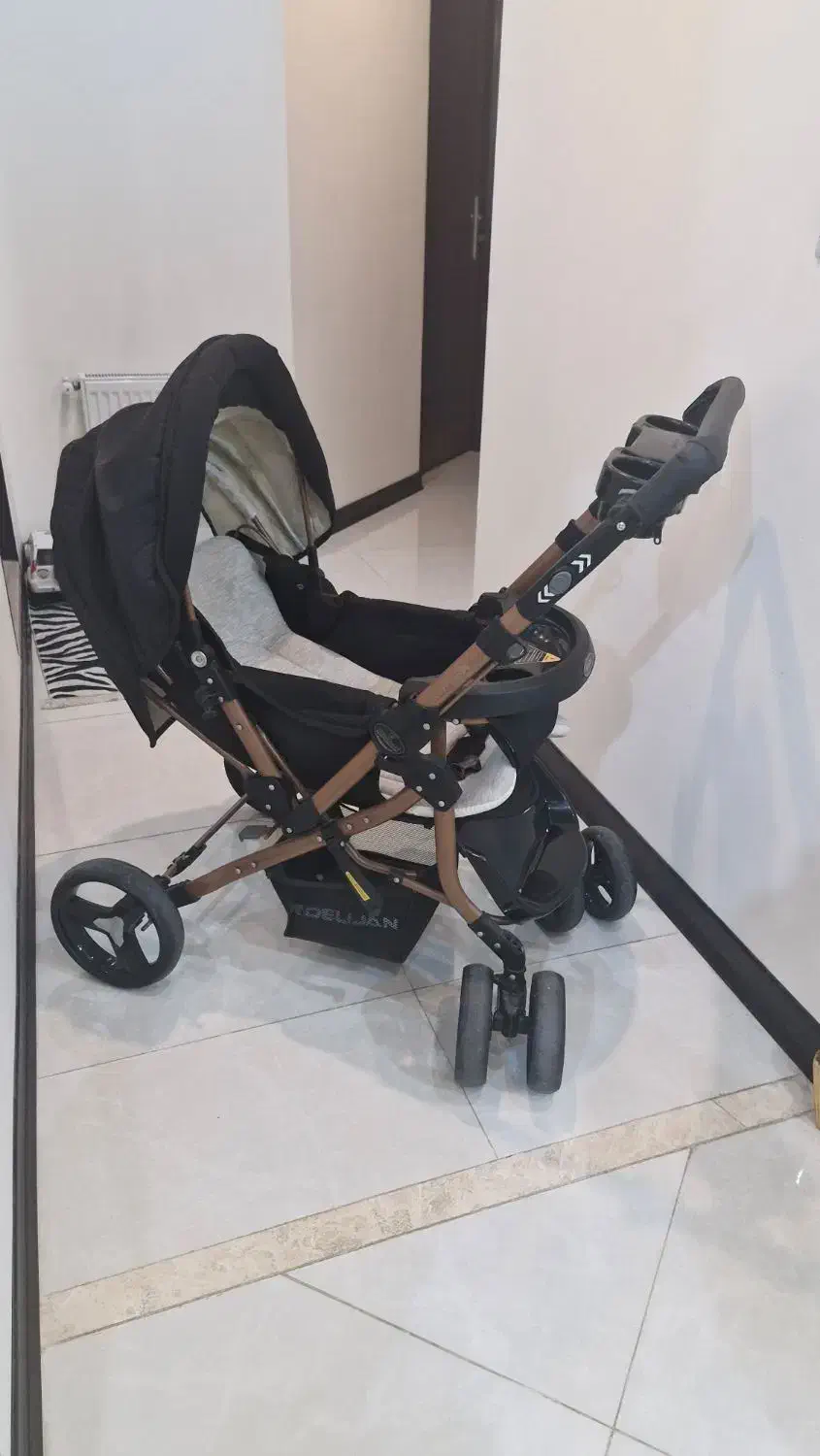 فروش کالسکه دلیجان|کالسکه و لوازم جانبی|کرمان, |دیوار