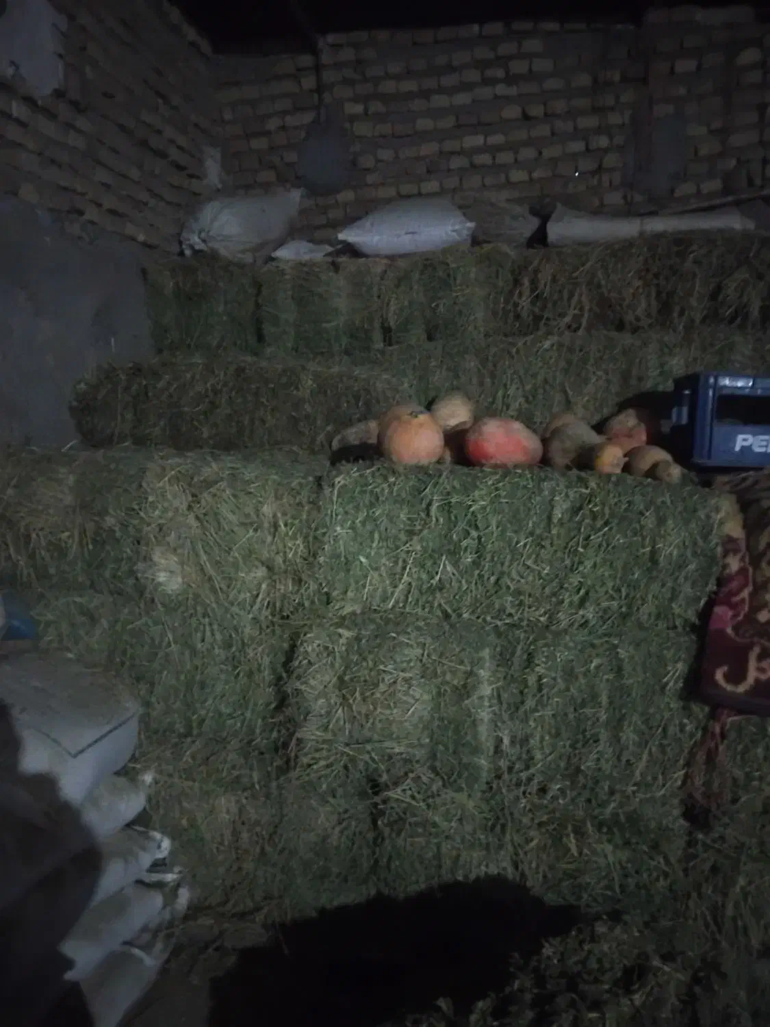 یونجه|لوازم جانبی حیوانات|شیروان (خراسان), |دیوار