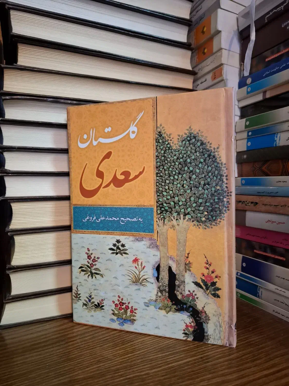 فروش دیوان صائب تبریزی و وحشی بافقی و ....|کتاب و مجله ادبی|قم, بلوار امین و ساحلی|دیوار