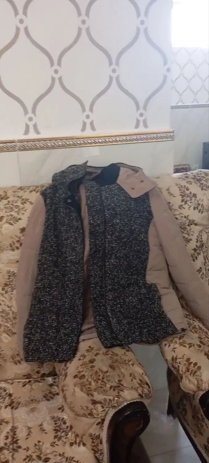 پالتو زنانه|لباس|دهگلان, |دیوار