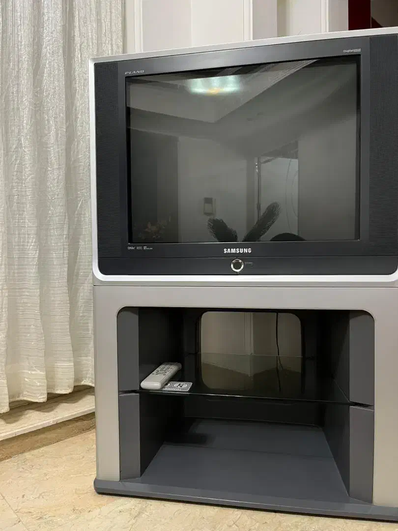 تلوزیون|تلویزیون و پروژکتور|یزد, |دیوار