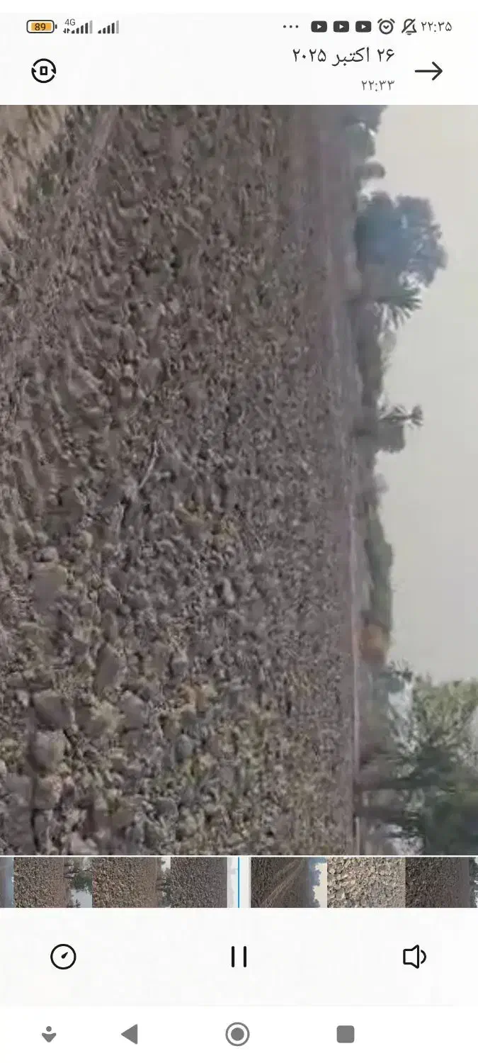 اجاره زمین کشاورزی آماده به کار|اجارهٔ دفتر صنعتی، کشاورزی، تجاری|تخت, |دیوار