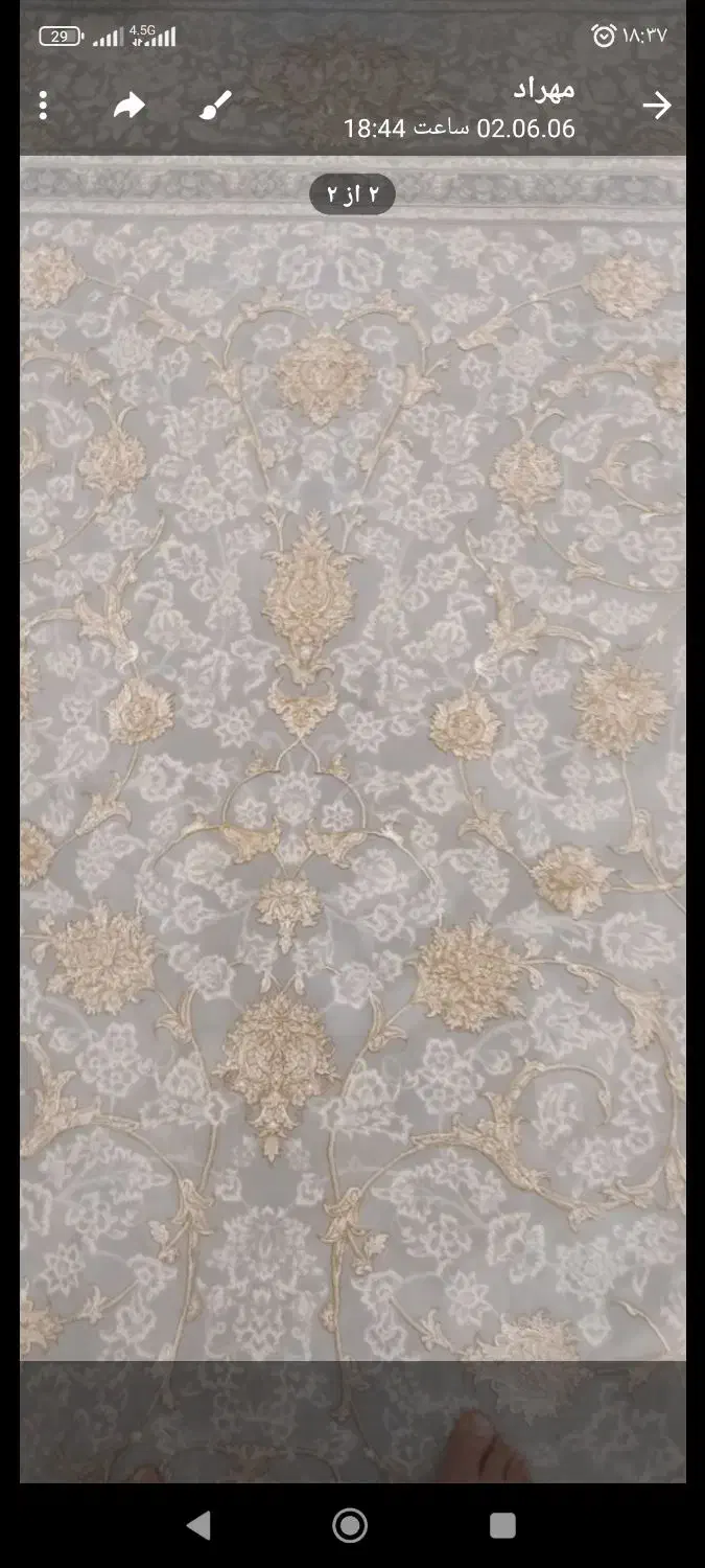 فرش|فرش|رضویه, |دیوار