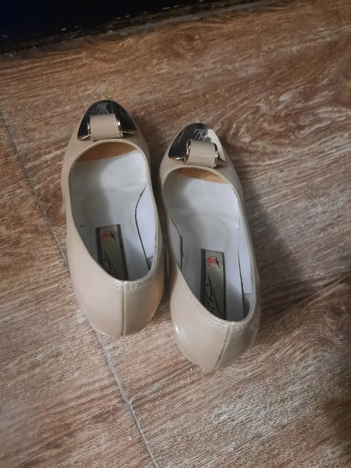 کفش مجلسی|کیف، کفش، کمربند|لنگرود, |دیوار