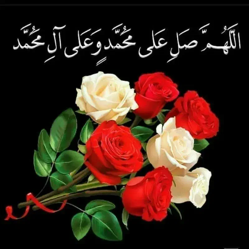 شناسنامه گم کردم سیدامیرعلی نبوی|اشیا|بیجار, |دیوار
