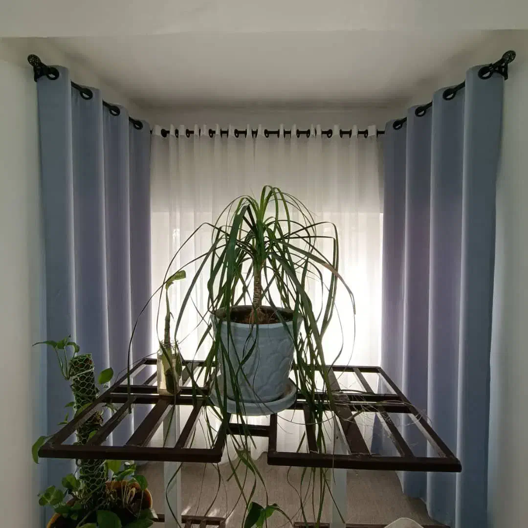 انواع پرده پانچی زبرا شید چاپی|پرده، رانر، رومیزی|نور, |دیوار