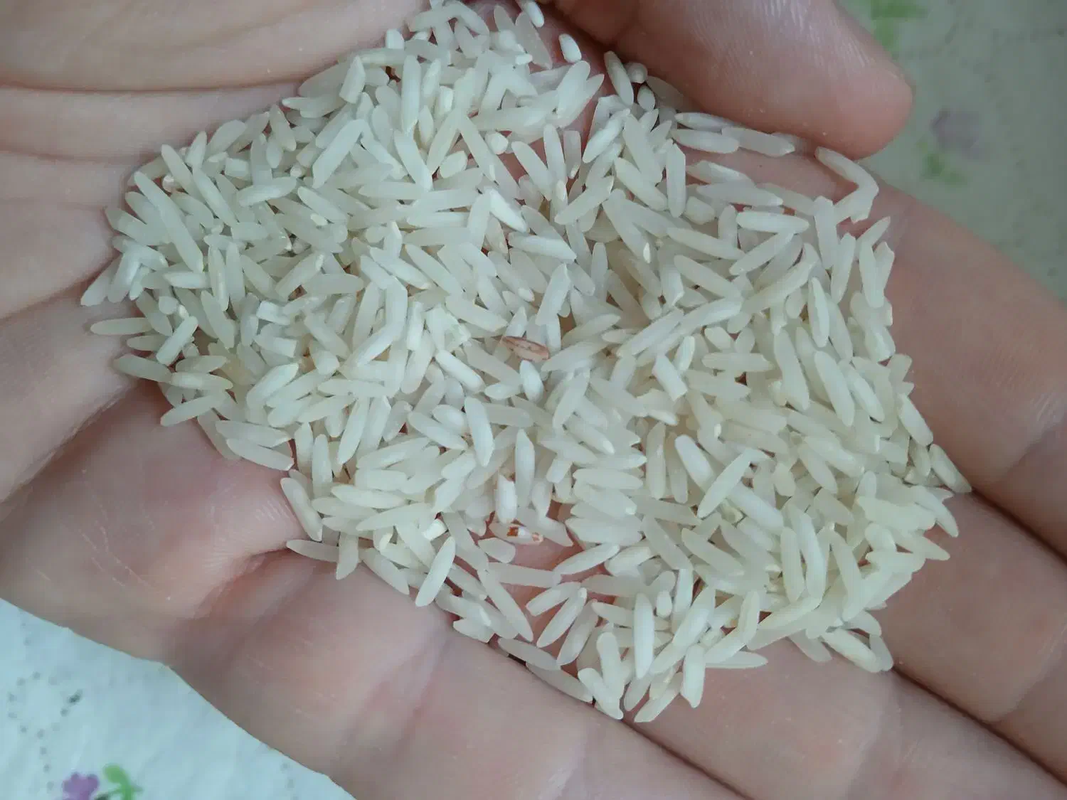 برنج طارم ایلام|خوردنی و آشامیدنی|تهران, آهنگ|دیوار