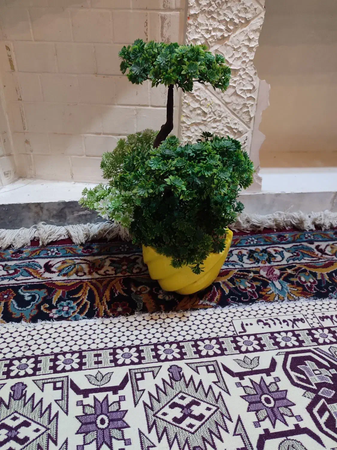 گل مصنوعی|گل مصنوعی|لاهیجان, طالقانی|دیوار