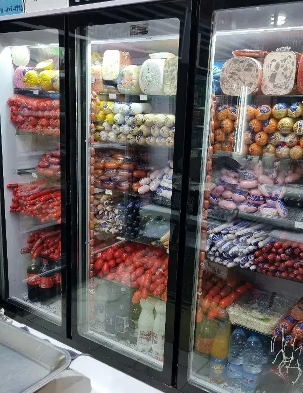 شاگرد پروتئینی|گردهمایی و همایش|کرمان, |دیوار