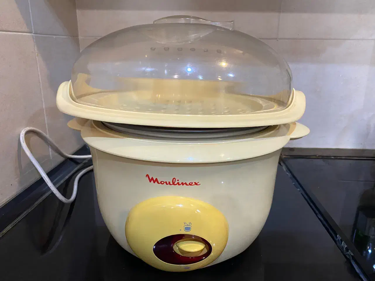 پلو پز وبخار پز مولینکس|اجاق گاز و لوازم برقی پخت‌وپز|شیراز, قدوسی غربی|دیوار