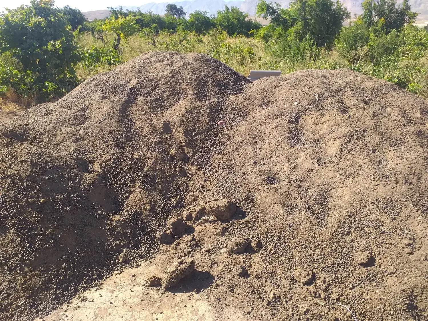 کودحیوانی|خدمات باغبانی و درختکاری|شیراز, گویم|دیوار