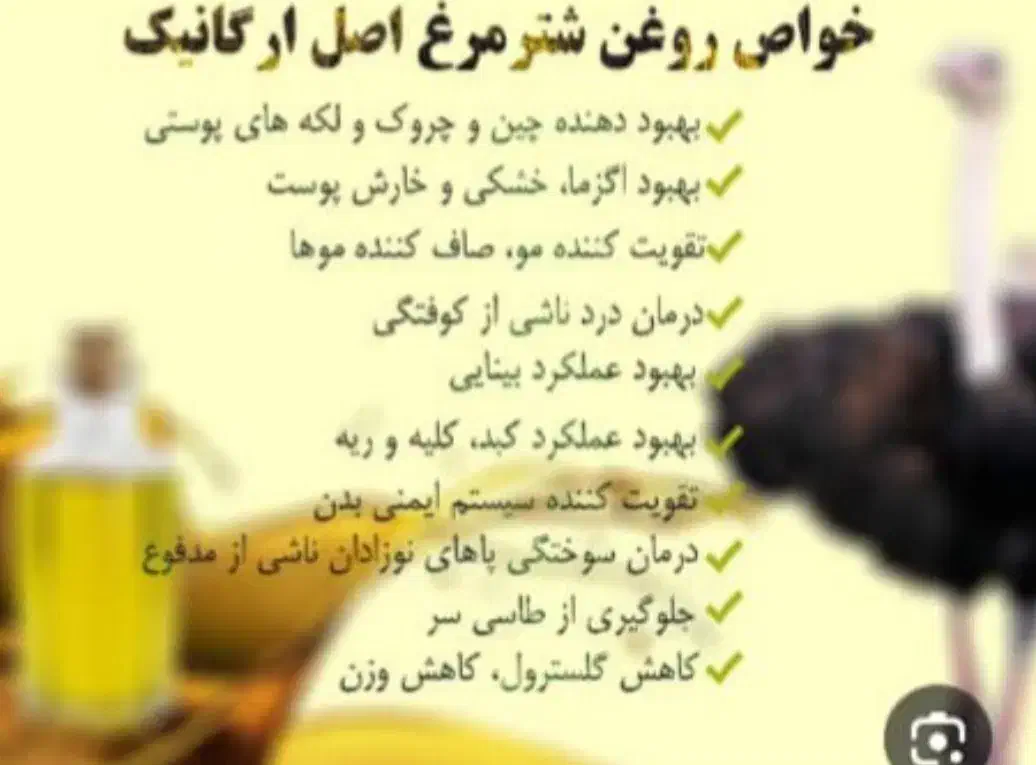 بلدرچین ماهی غازاردک مرغ شاخداربره کهره بزه میش|حیوانات مزرعه|یاسوج, |دیوار