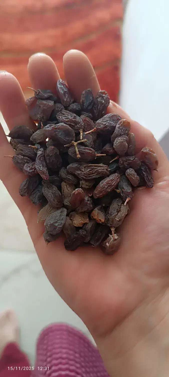 کشمش آفتابی بوانات ۲۳۰|خوردنی و آشامیدنی|شیراز, مسکن مهر شیراز|دیوار