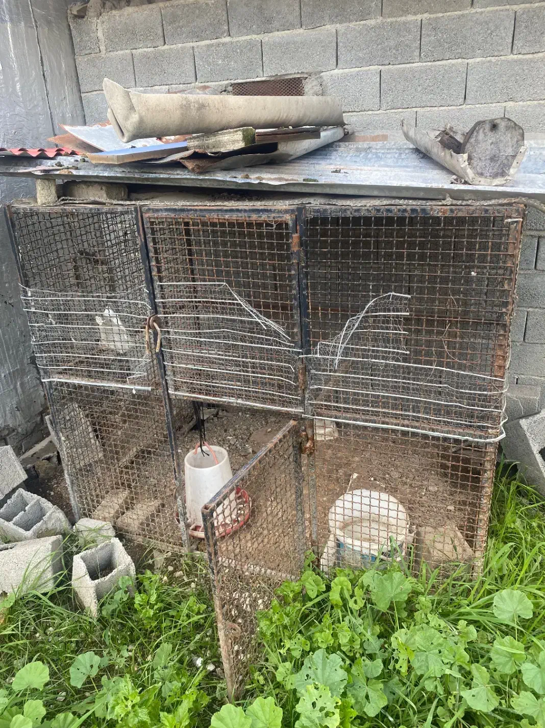 قفس آهنی مخصوص نگهداری حیوانات|لوازم جانبی حیوانات|قائم‌شهر, |دیوار