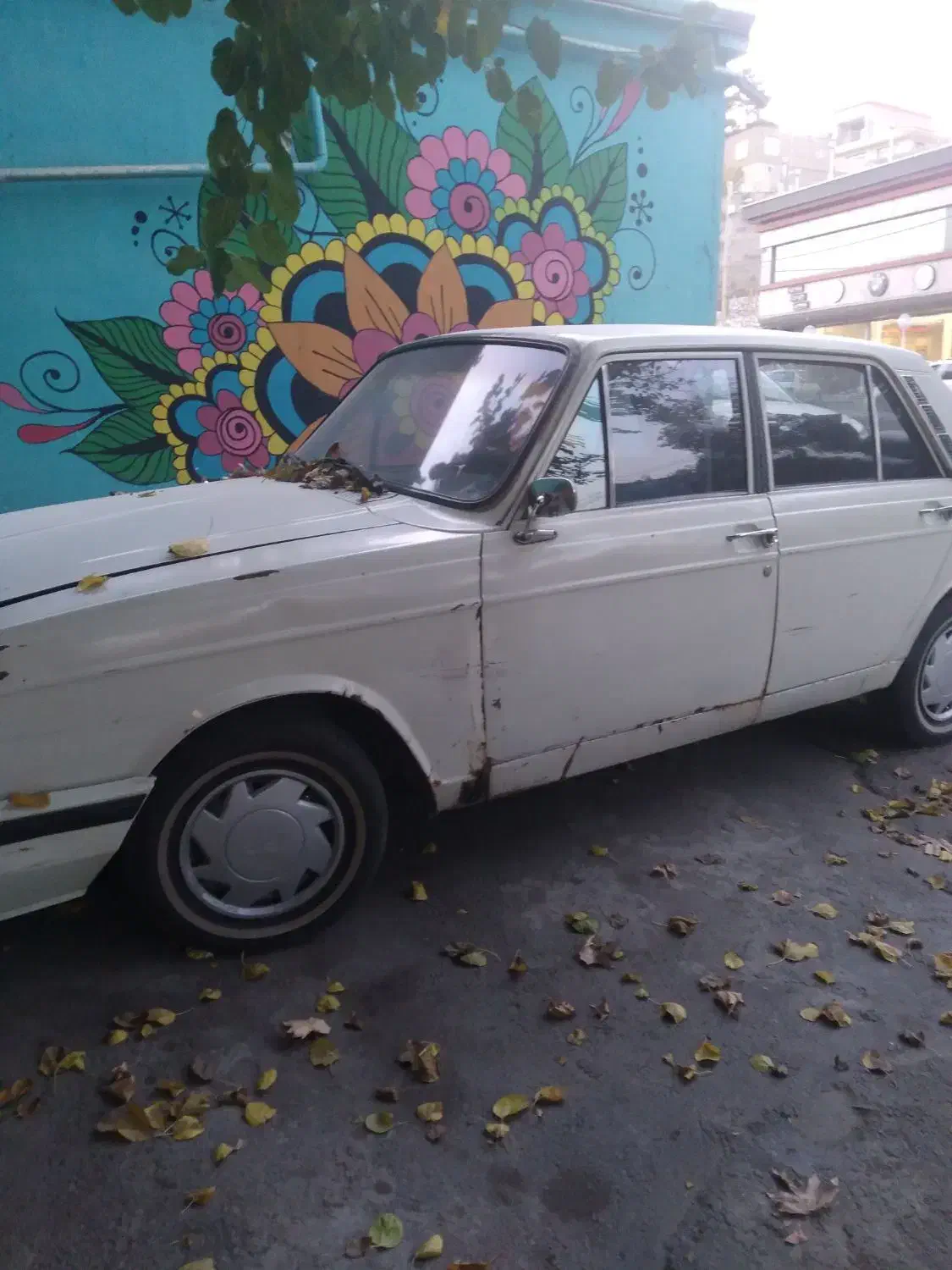 ماشین پیکان|خودرو سواری و وانت|طرقبه, |دیوار